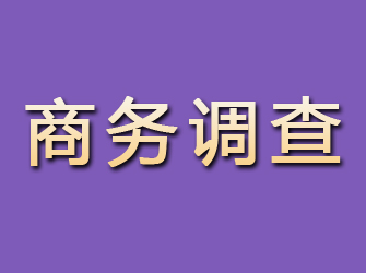 白碱滩商务调查